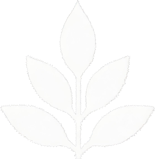Icon-Consultation-Services